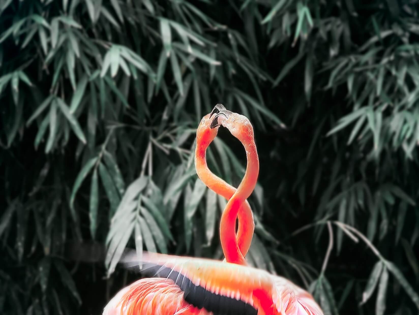 Infected with adware and computer spyware